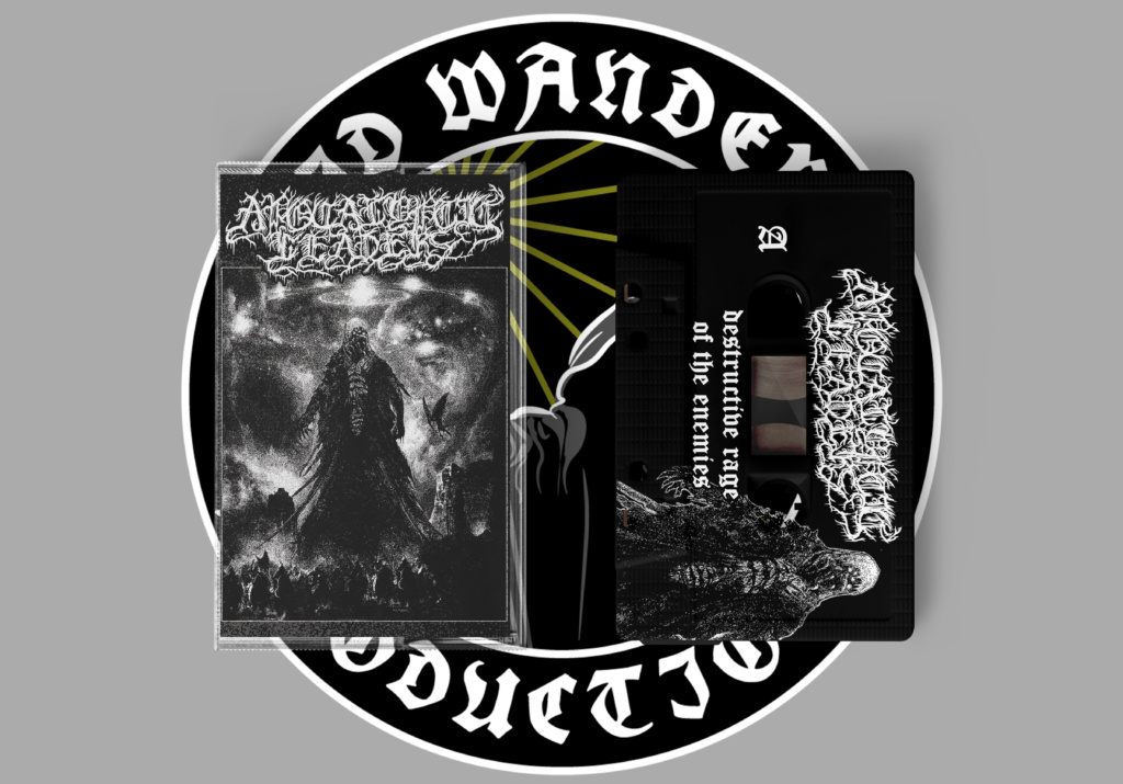 Apocalyptic Leaders - Destructive rage of the enemies [MC]