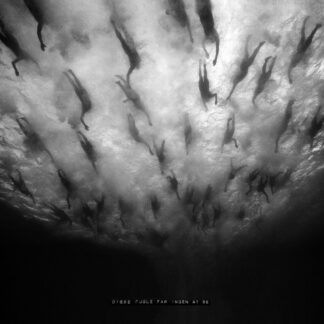 MORILD - disse fuge far ingen at se [CD]