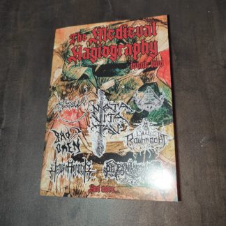 The Medieval Hagiography #2