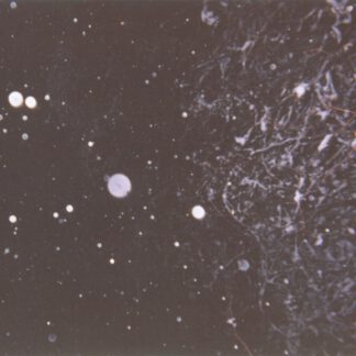 Azrael - Into Shadows Act II: Through Horned Shadows Glimpse [CD]